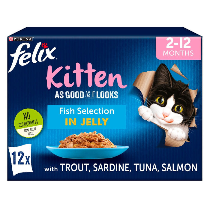 Felix tan bueno como parece, pescado de comida para gatos en la selección de 12 x 100g